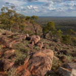 Mount Oxley view