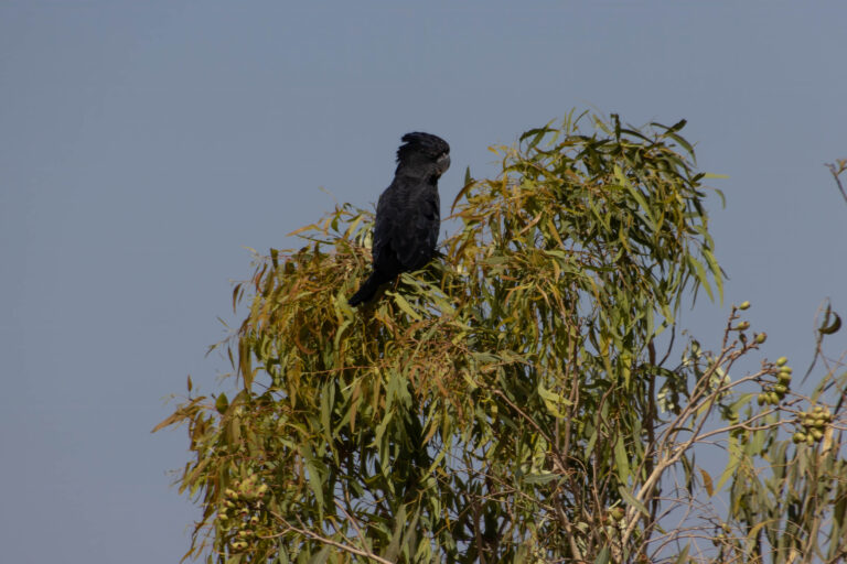 IMG_6054-Edit