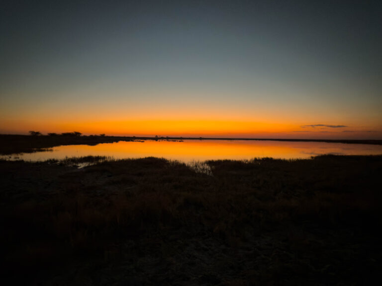 IMG_1846-Edit
