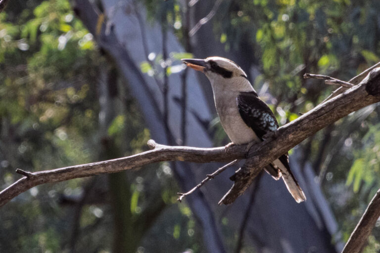 IMG_0309-Edit