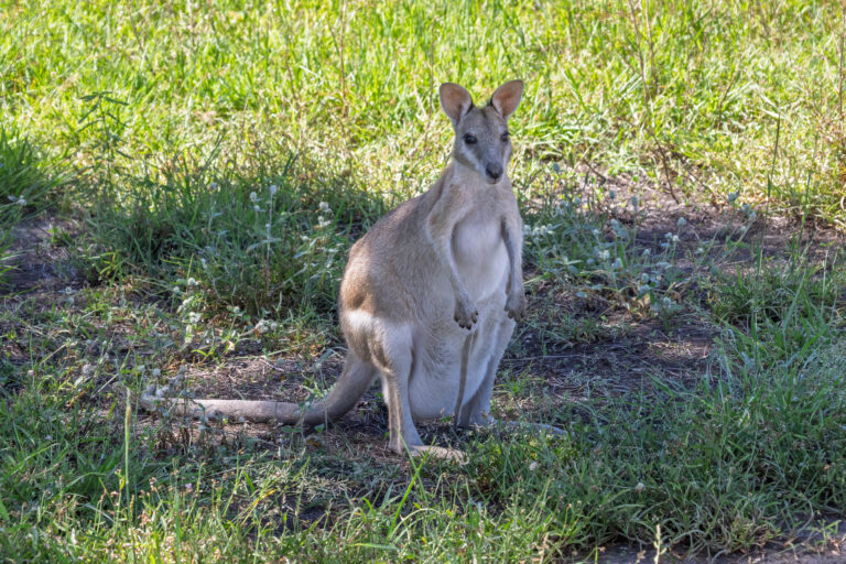 IMG_5223-Edit