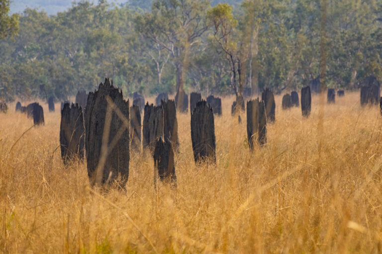 IMG_5400-Edit