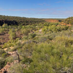 Ross Graham Lookout