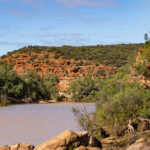 Ross Graham Lookout