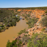 Hawks Head Lookout