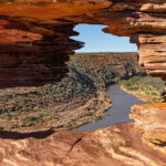 Natures Window