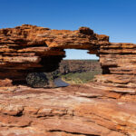 Natures Window