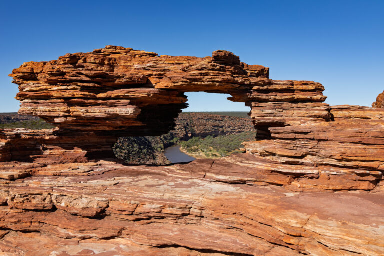 Natures Window