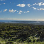 Kalbarri
