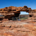 Natures Window