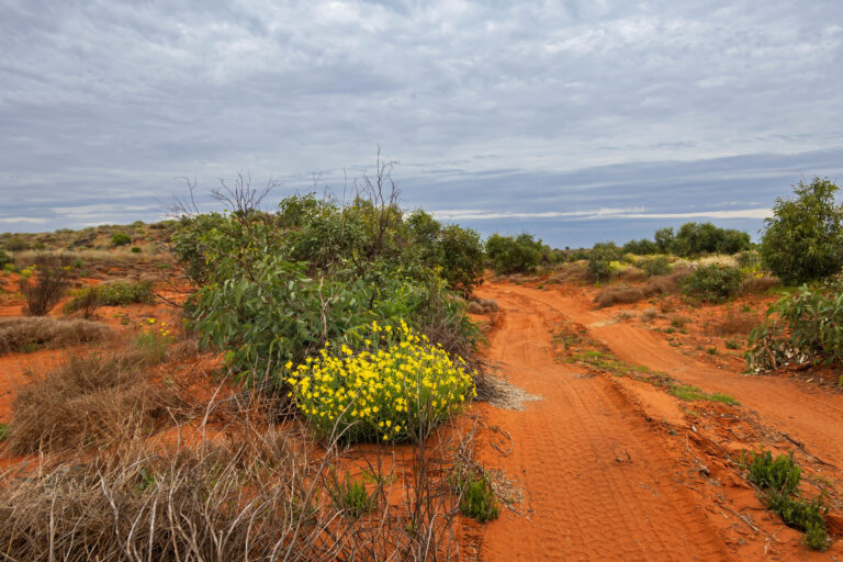 IMG_8806-Edit